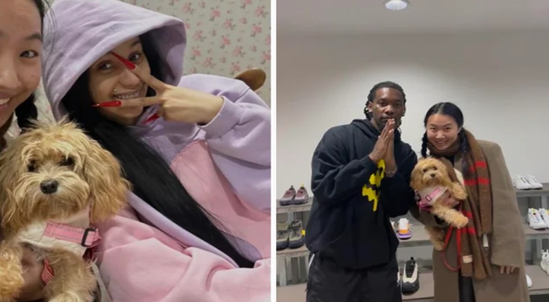 Cardi B Was Spotted Shopping With Offset By A Fan, Which Leads To ...