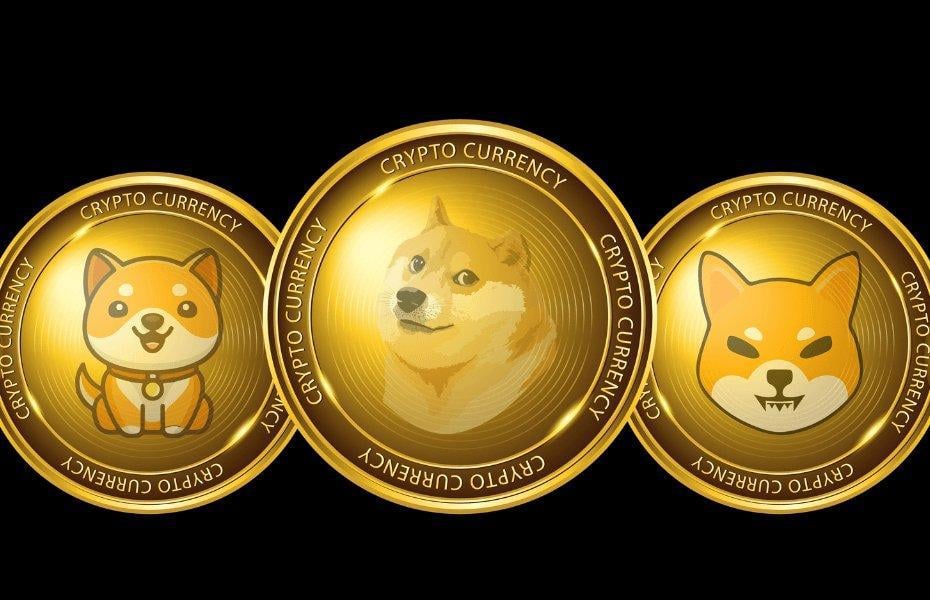 puppy coin crypto