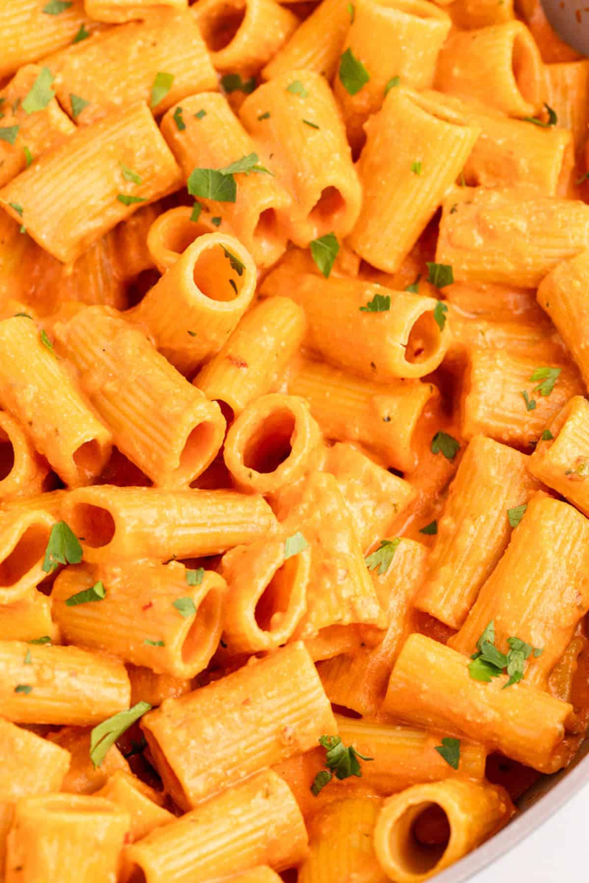 Spicy Rigatoni Pasta