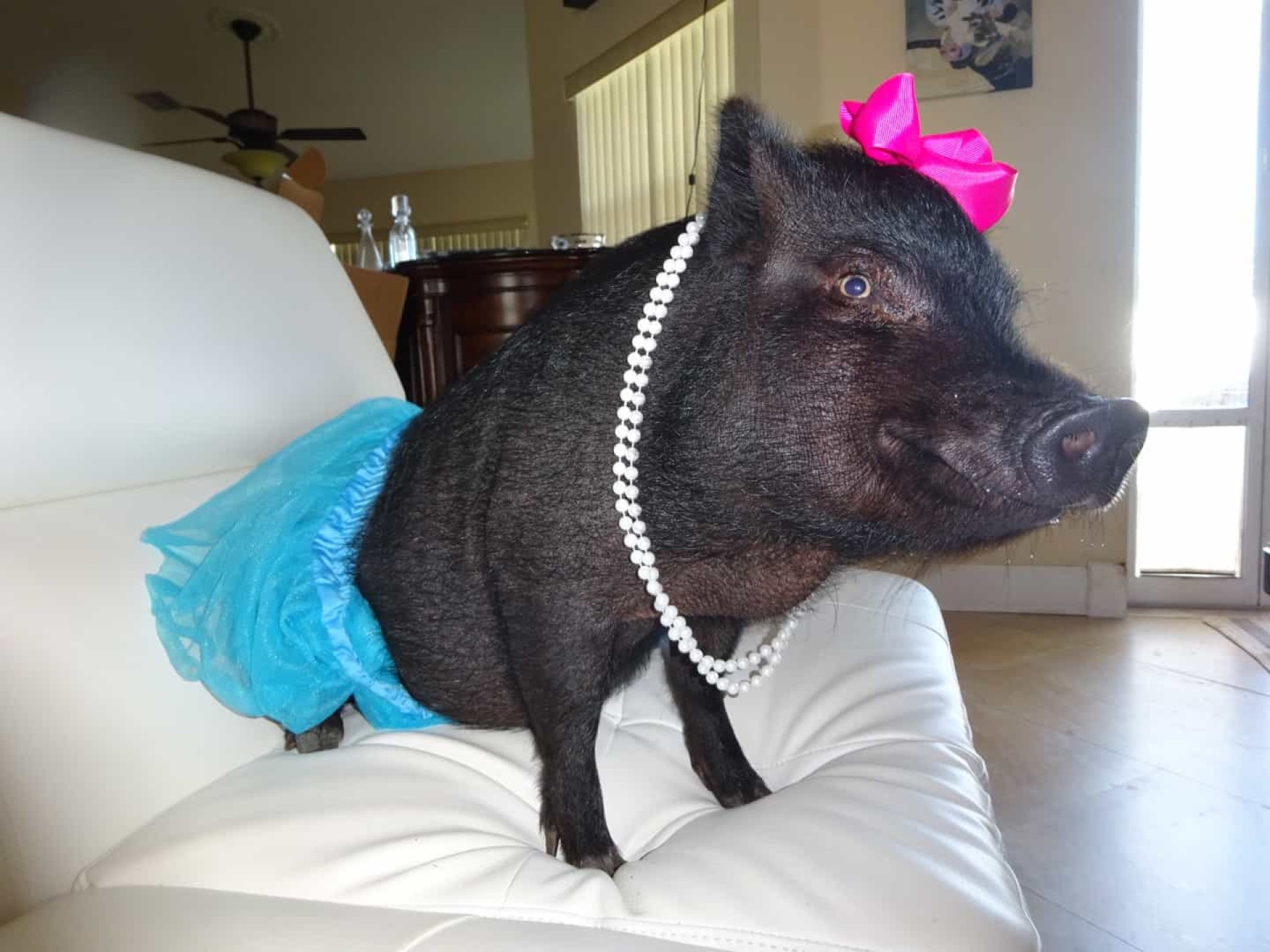 Everyday phrases you didn't know were borrowed from the Bible