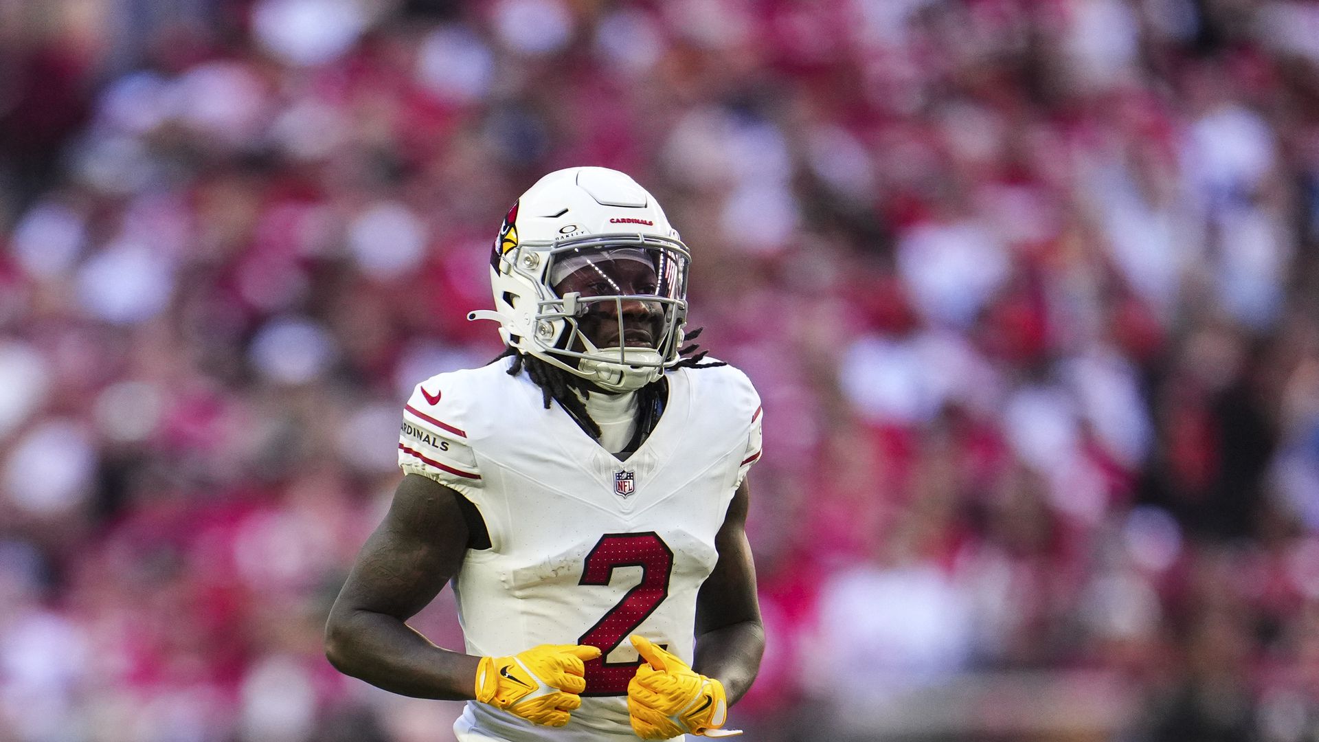 Arizona Cardinals Place Marquise Brown On Injured Reserve