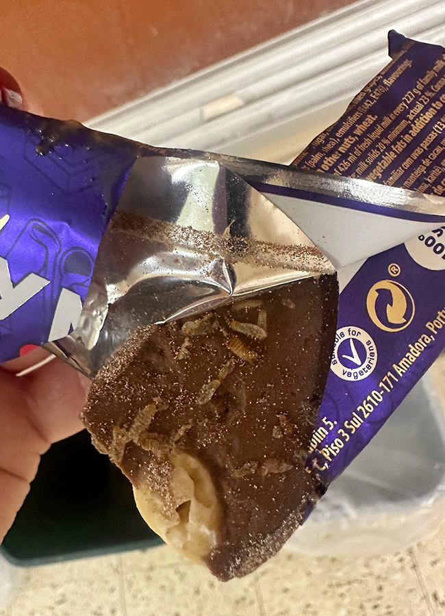 'it was absolutely disgusting' teacher's horror to find chocolate bar 'covered in maggots'