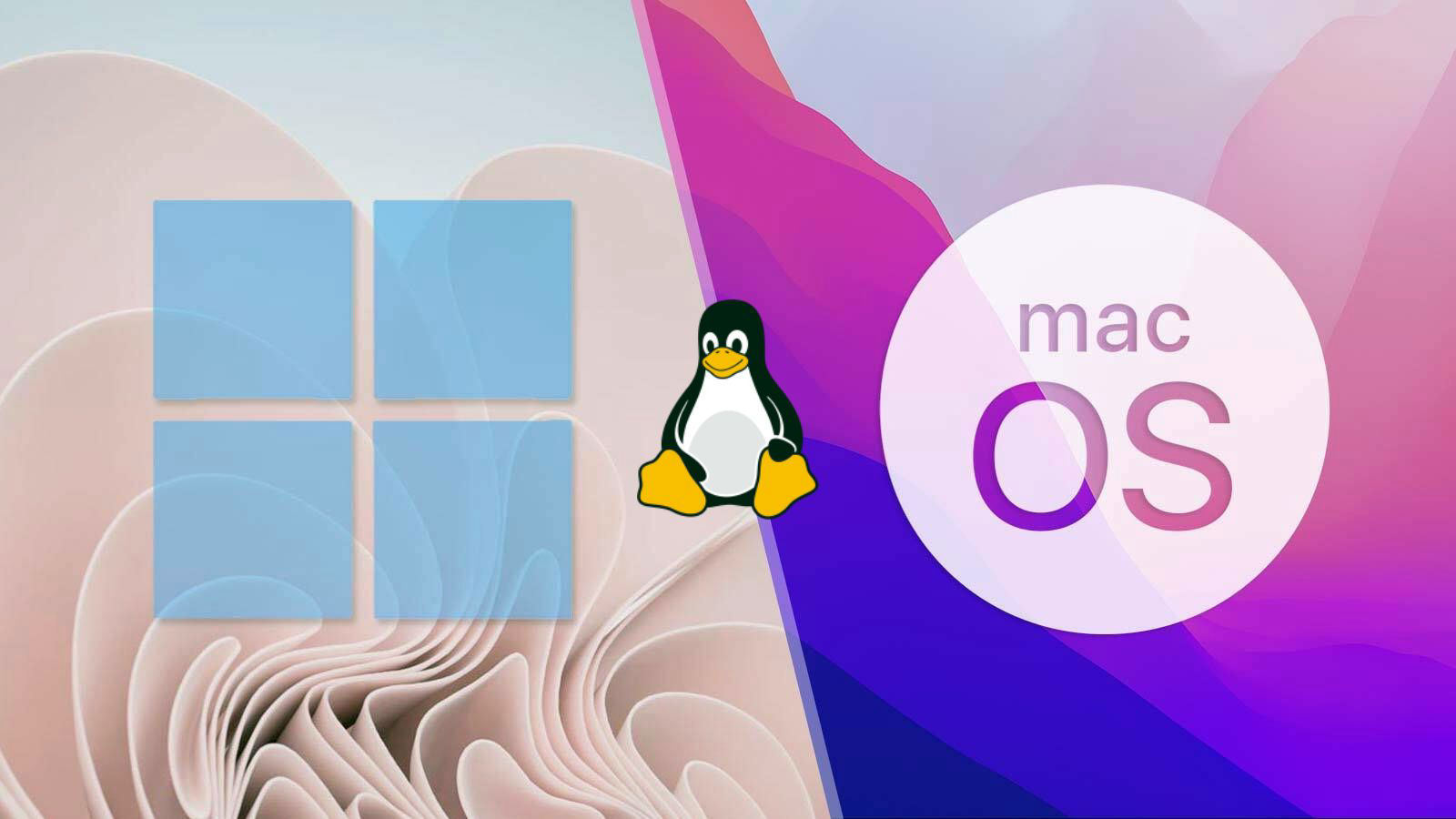 Windows 11 vs macOS in 2024 will be a mess, so I'm learning Linux