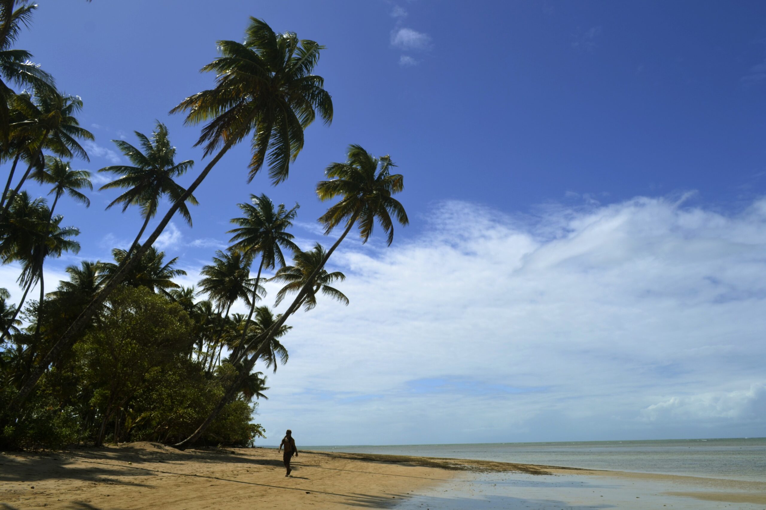 7 arquipélagos e ilhas no brasil que você deveria conhecer