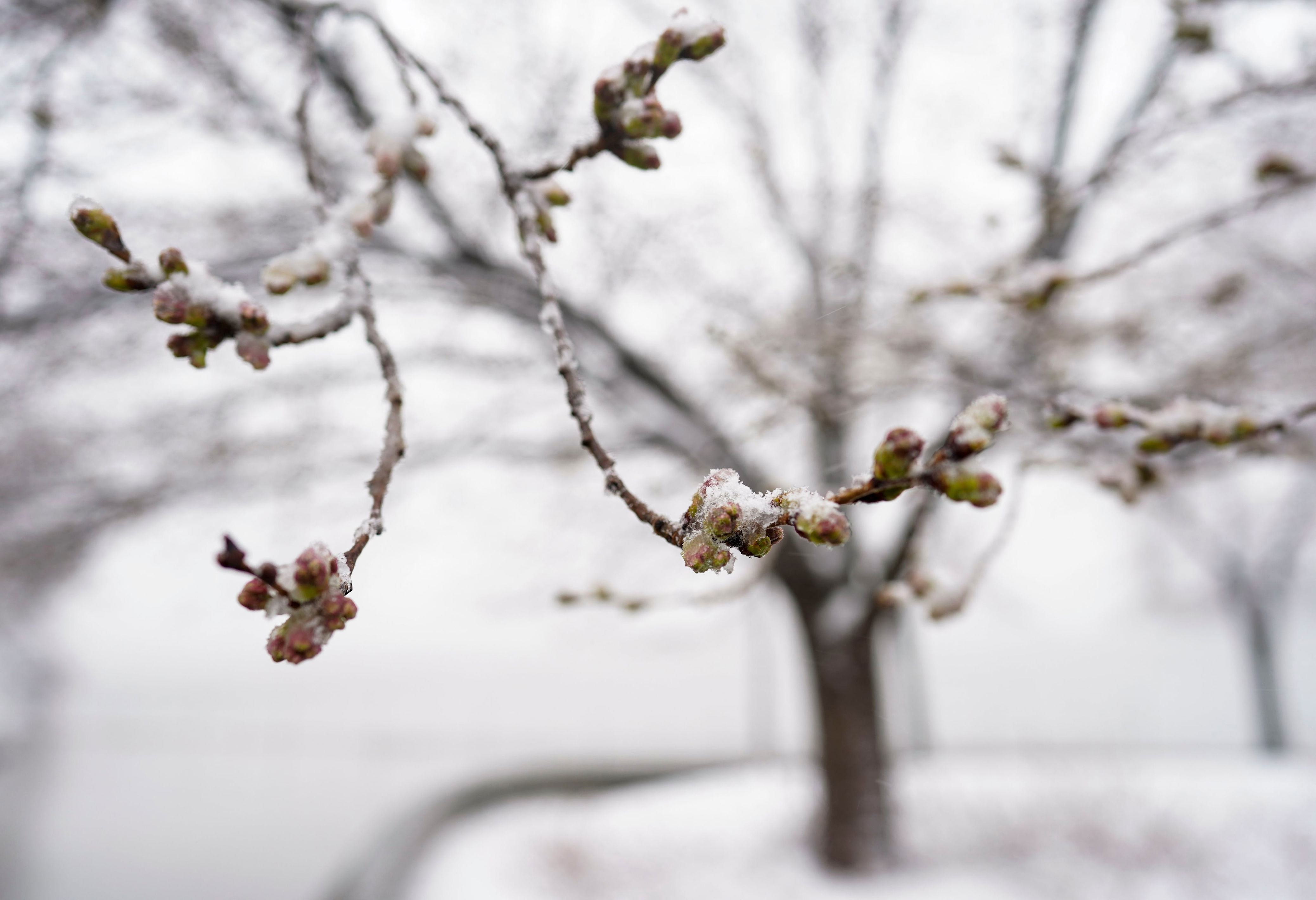 Here S Your Michigan Weather Outlook For January 2024   AA1mfpdV.img