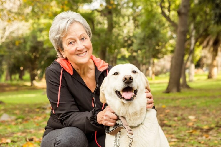 The 25 Best Dog Breeds For Seniors