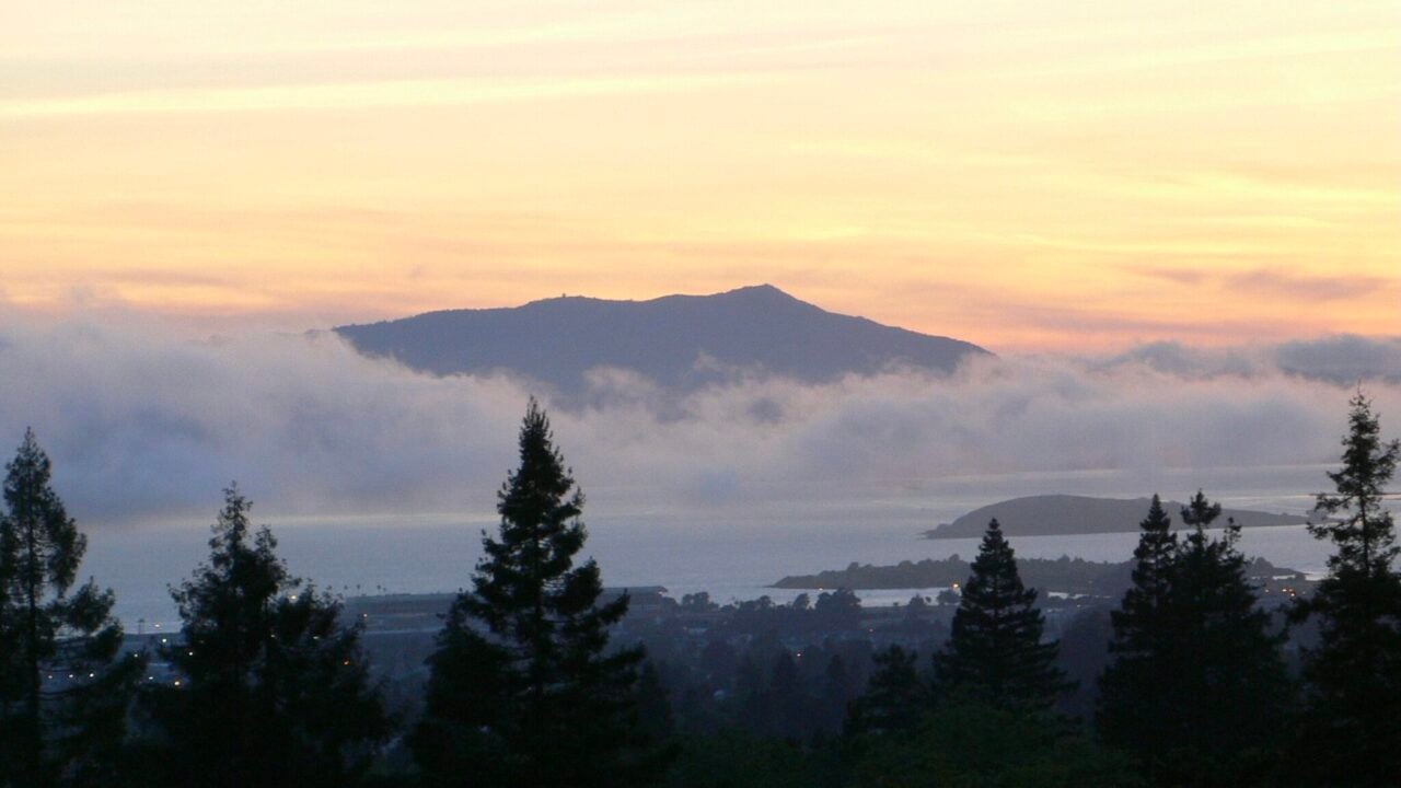 <p>At over 2,500 feet tall, Mount Tam in Marin County is quite the trek, but the view from its summit is glorious. There is a 13.7-mile loop that starts near Mill Valley and meanders its way to the top. It takes about 6.5 hours to complete. On a clear day, expect to see San Francisco and its beautiful bay, the East Bay, Mount Diablo, and even the Farallon Islands, approximately 25 miles from land.</p>
