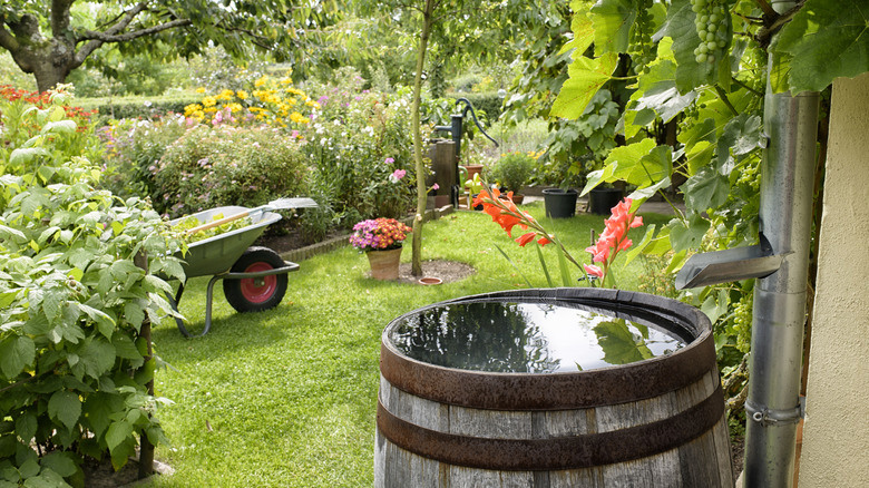 How To Turn An Ordinary Wine Barrel Into A Beautiful Bird Bath