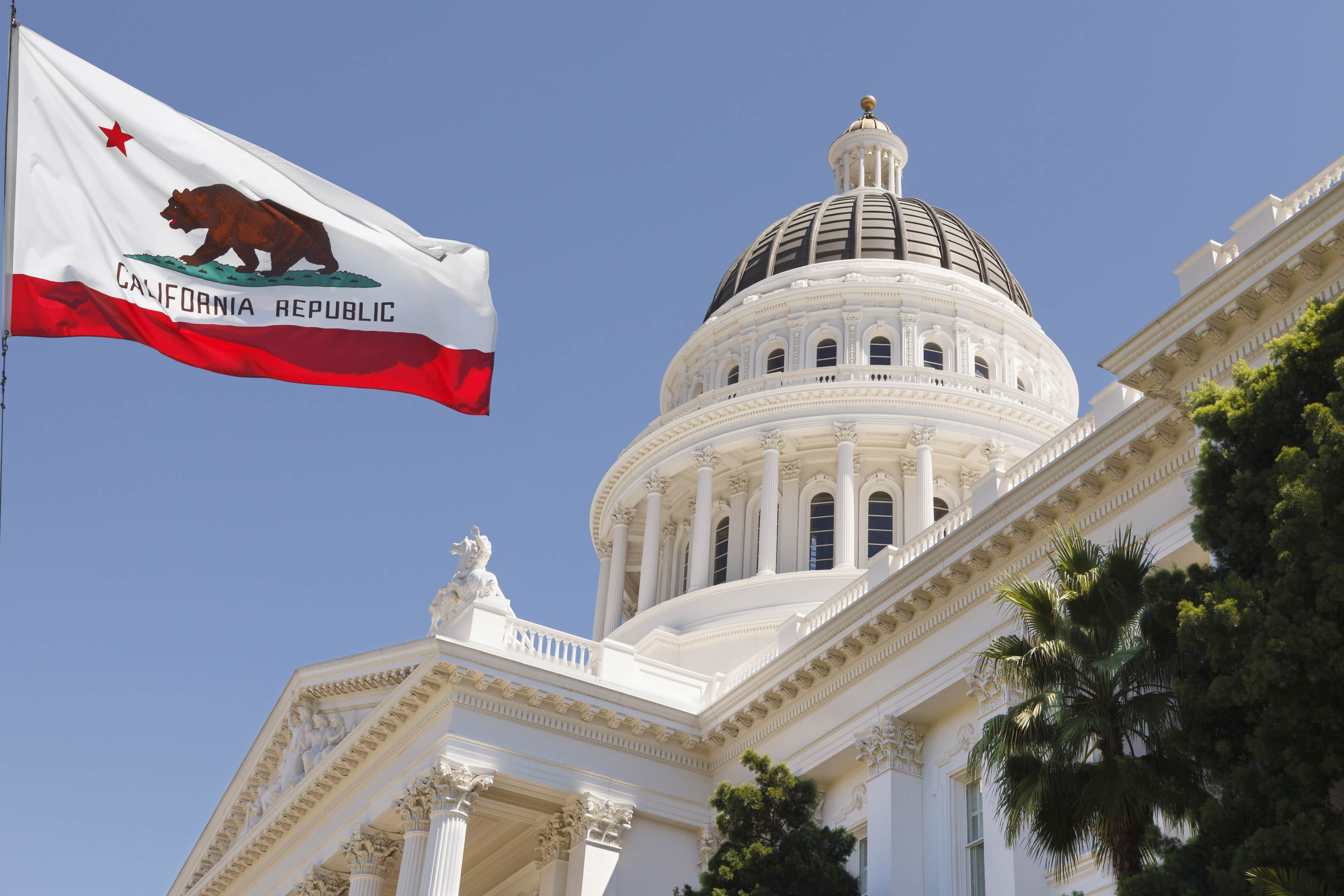 New Year New Laws For Californians In 2024   AA1mhSNn.img