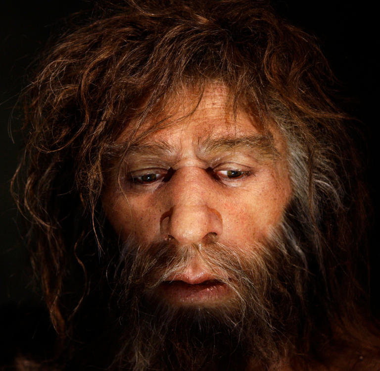 Hyperrealistic face of a Neanderthal male is displayed in a cave in the new Neanderthal Museum in the northern Croatian town of Krapina. REUTERS/Nikola Solic