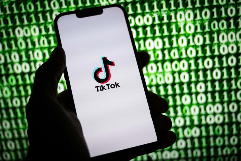 TikTok users flood Congress with calls as potential ban advances