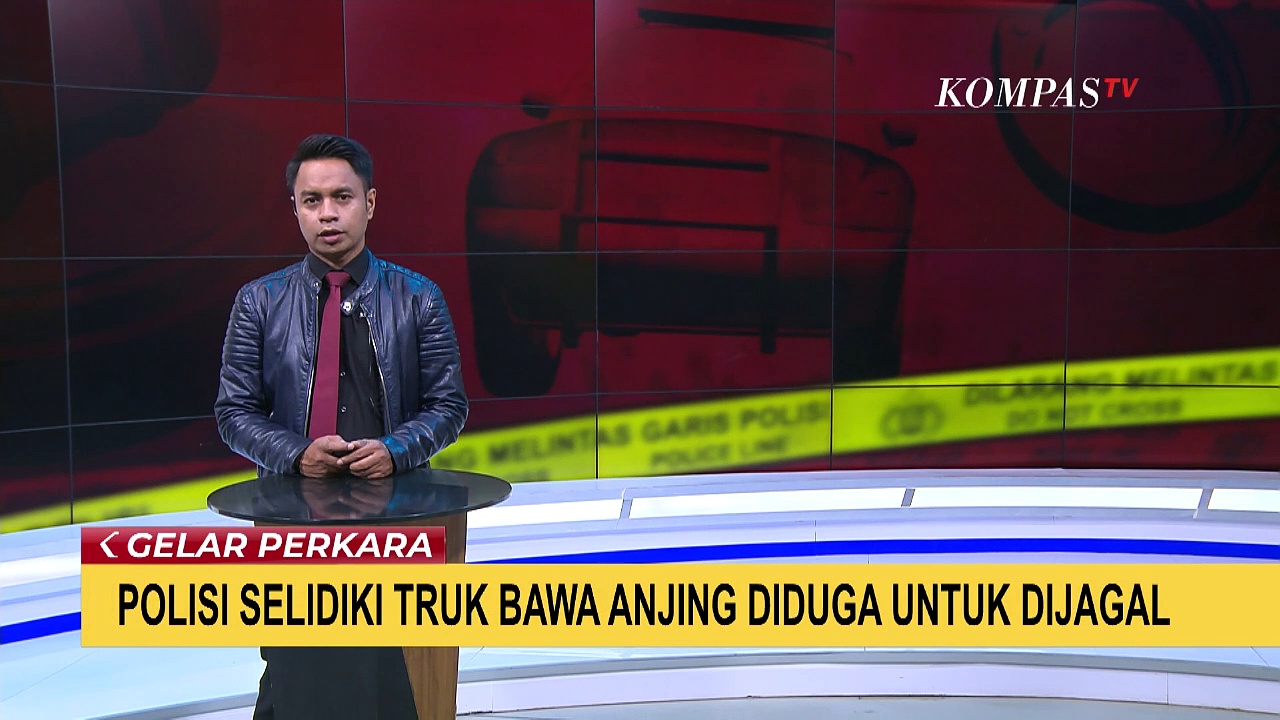 Truk Angkut Ratusan Anjing, Dicurigai Hendak Ke Rumah Jagal Untuk ...