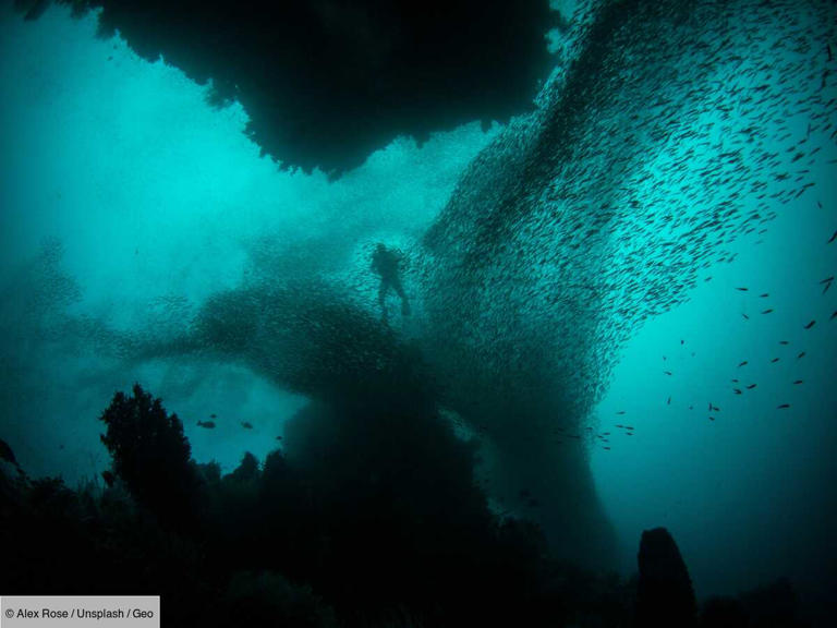 Des scientifiques ont récemment fait une découvert géologique "extraordinaire" dans les abysses de l'océan Pacifique (image d'illustration).