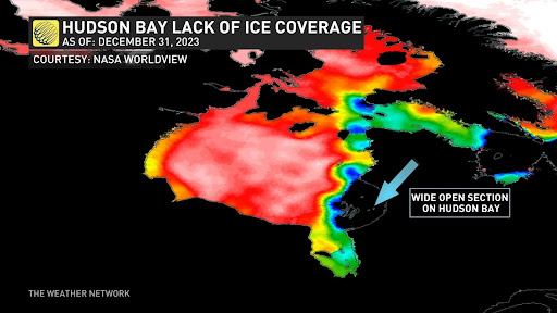 El Niño Reshapes Winter Landscape: Low Ice Coverage In Hudson Bay