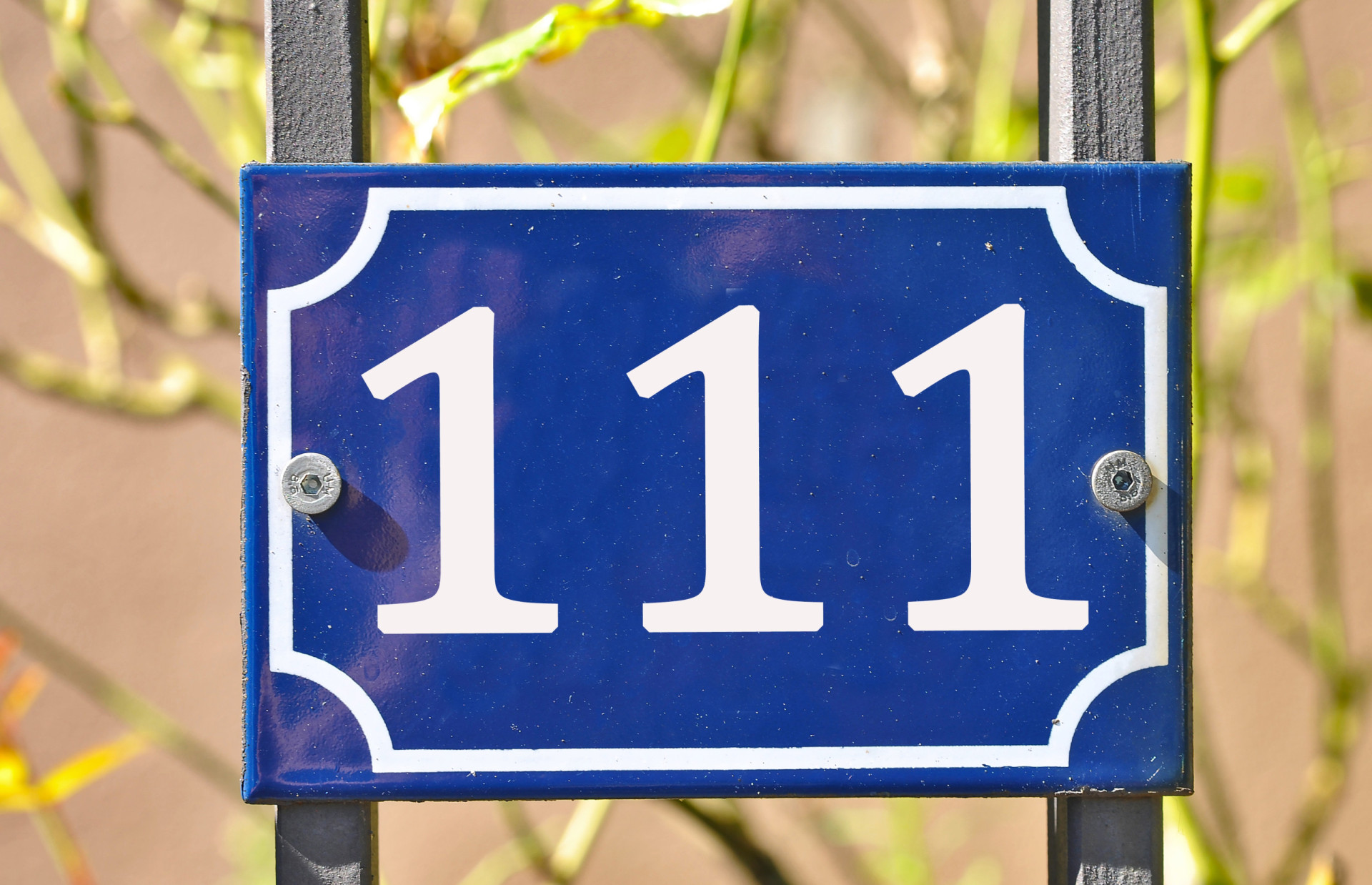 Номер 11. 61 год цифра. Номер 11. Номер 11 100. Дверь с номером 11.