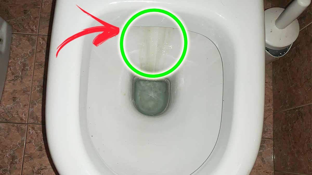 cosa dovresti sapere sul calcare che vedi all’interno del wc