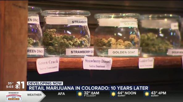 January 1 Marked 10 Years Of Legal Recreational Marijuana Sales In Colorado   AA1mmMe4.img