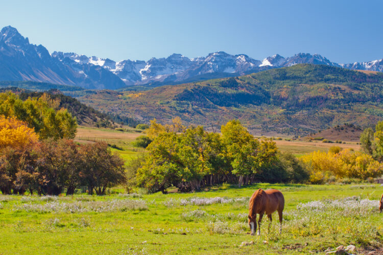 When True Grit was filmed in 1969, part of the home that Ralph Lauren lives in with his wife in Telluride, was used in the film in many different scenes. The Double RL Ranch was named after Lauren and his wife of more than 46 years. The film was shot here long before Lauren owned the home, but it still goes down in history as one of the coolest houses in the world. It would have to go down in history for this considering one of the most famous John Wayne movies of all time was filmed here.