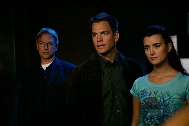 Michael Weatherly Sends NCIS Fans Into Frenzy As He Shares Photo With ...