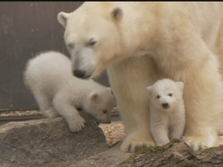 Great Lakes Start 2024 With Smallest Amount Of Ice In At Least 50 Years   AA1mn6hl.img