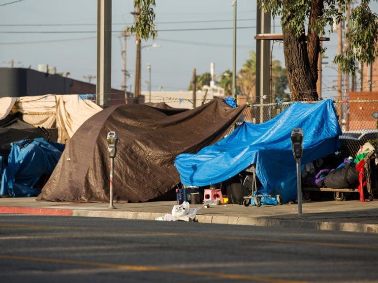 Redondo Beach Seeks Volunteers For 2024 LA County Homeless Count