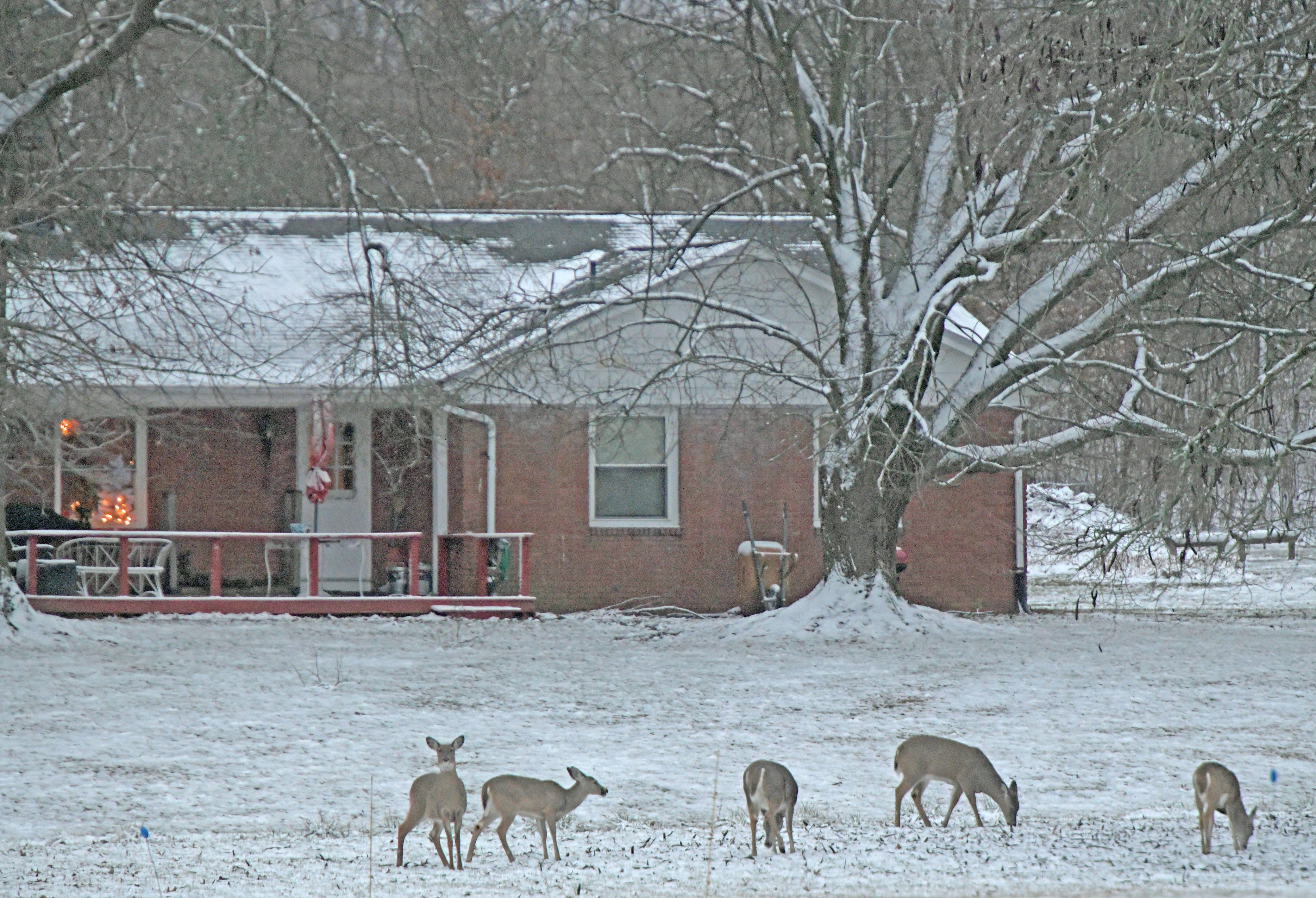 Wednesday Forecast Snow In The Appalachians And Northeast Weekend   AA1moMlE.img