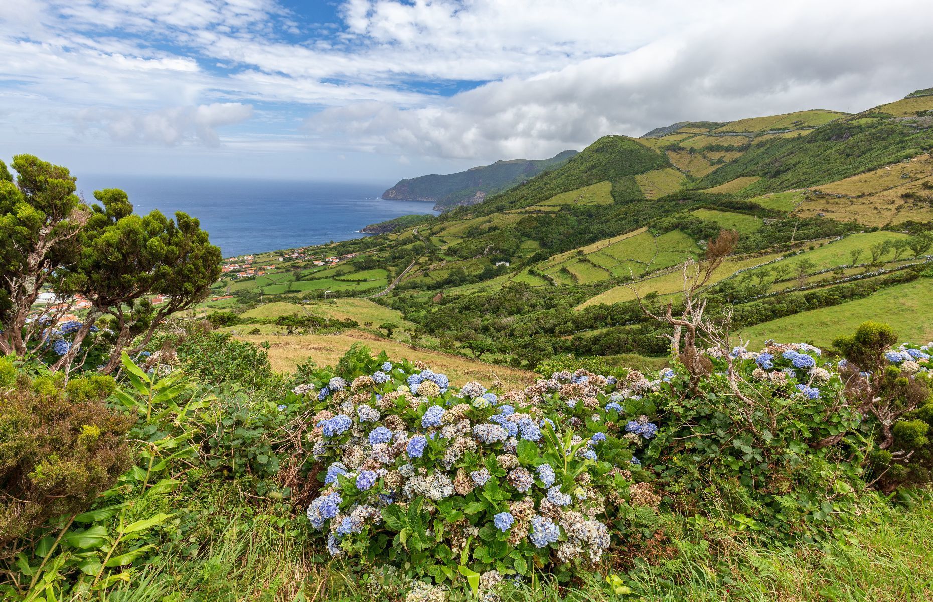 <p>“If there are places privileged by nature, the island of Flores is one of them,” declares <a href="https://www.visitportugal.com/en/node/73821" rel="noreferrer noopener">Visit Portugal</a> about this stunning spot in the Azores archipelago. For flower lovers, Flores (which literally translates to flowers) Island is the ultimate garden.</p>