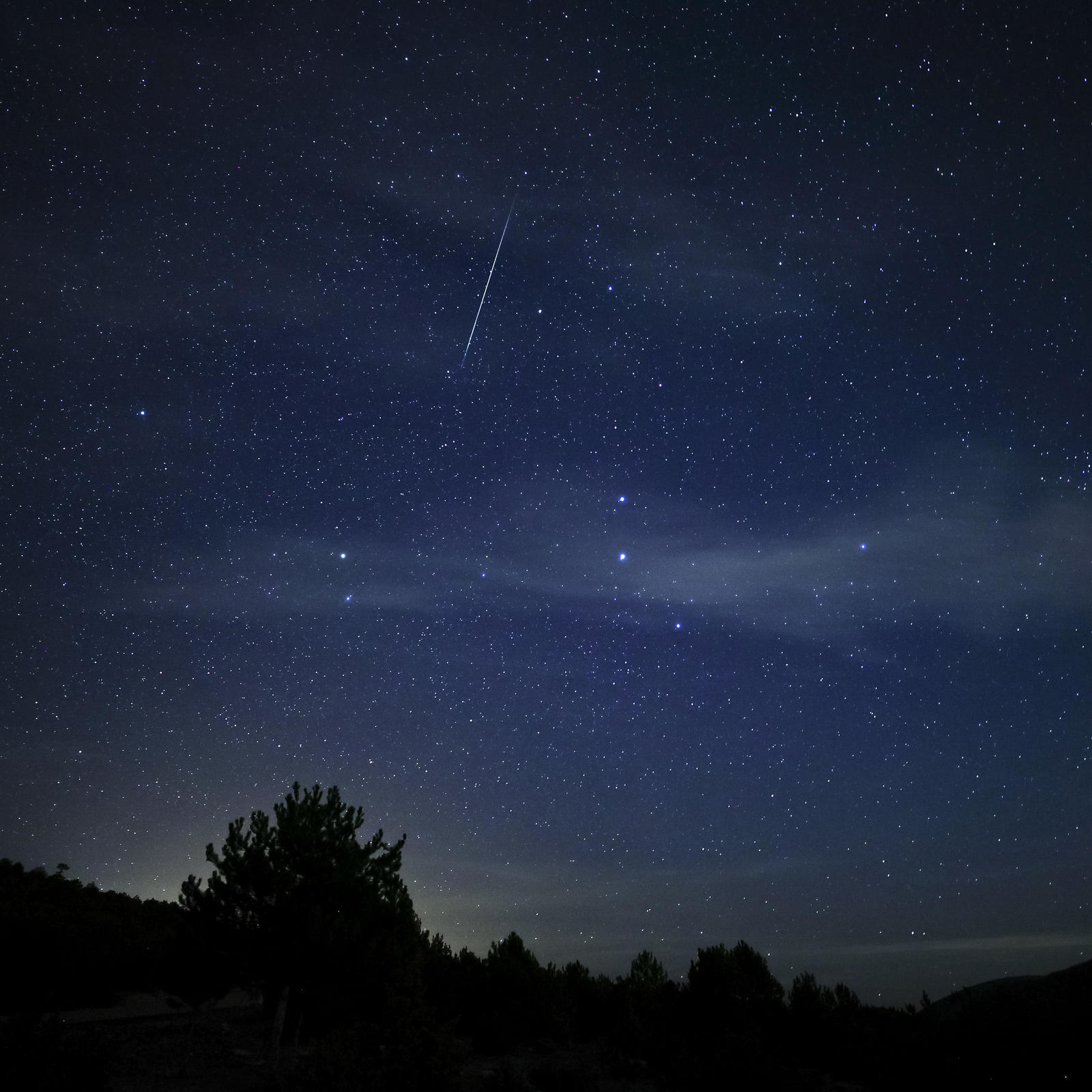 When And Where To See The Quadrantids 2024 S First Meteor Shower   AA1mqC7L.img