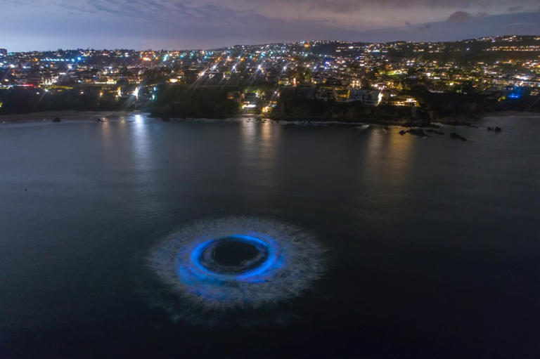 Video What is that stunning blue glow in the ocean off the California