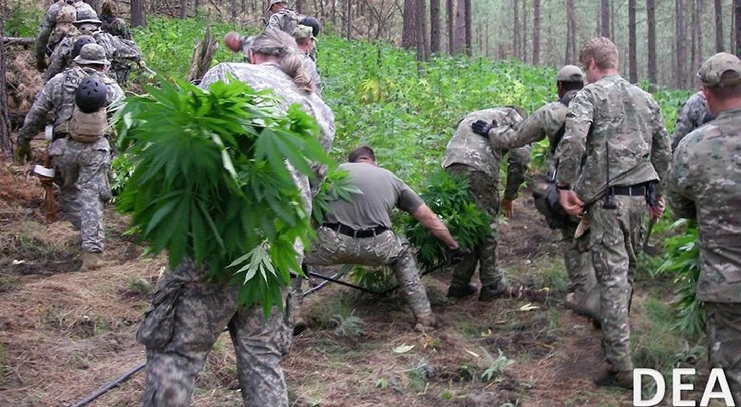 DEA To Congress: We Hold 'Final Authority' On Cannabis Rescheduling ...