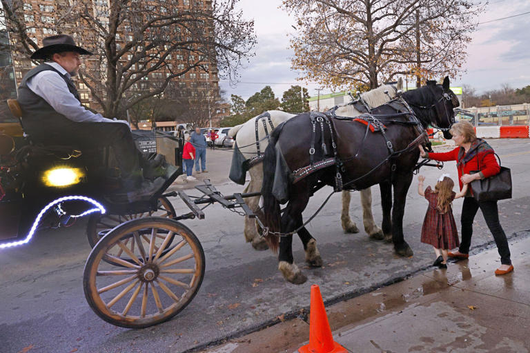 Dallas considering ban on horsedrawn carriage rides in the city