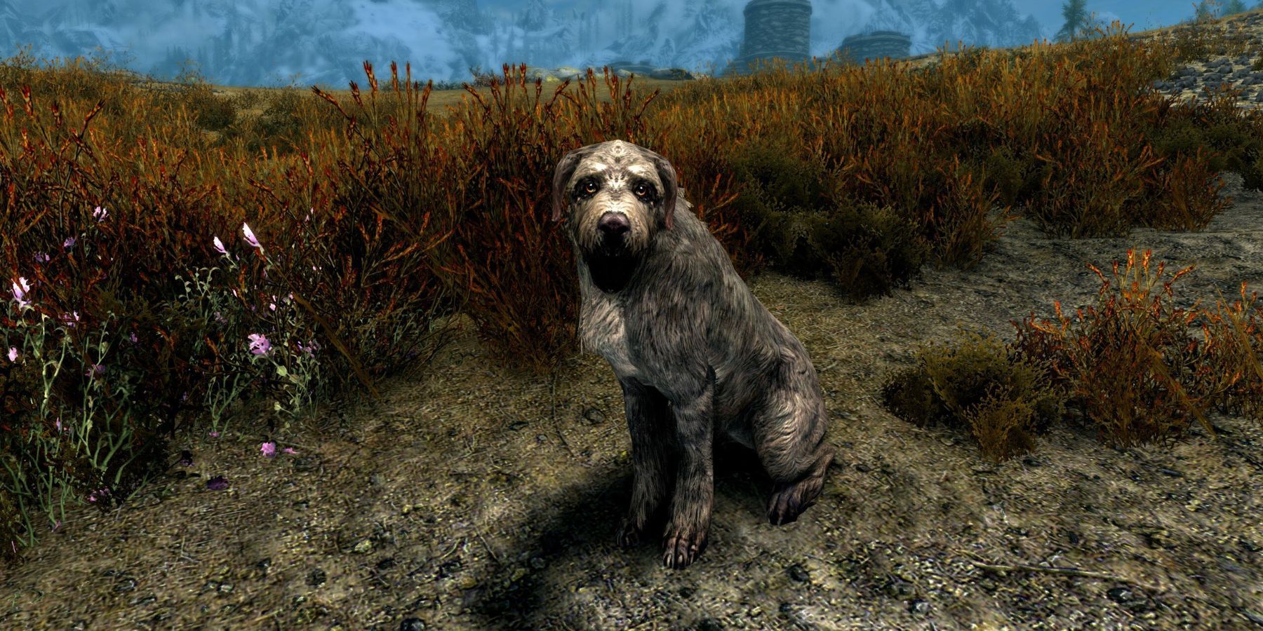 Skyrim How To Get A Dog Follower   AA1mqyeN.img