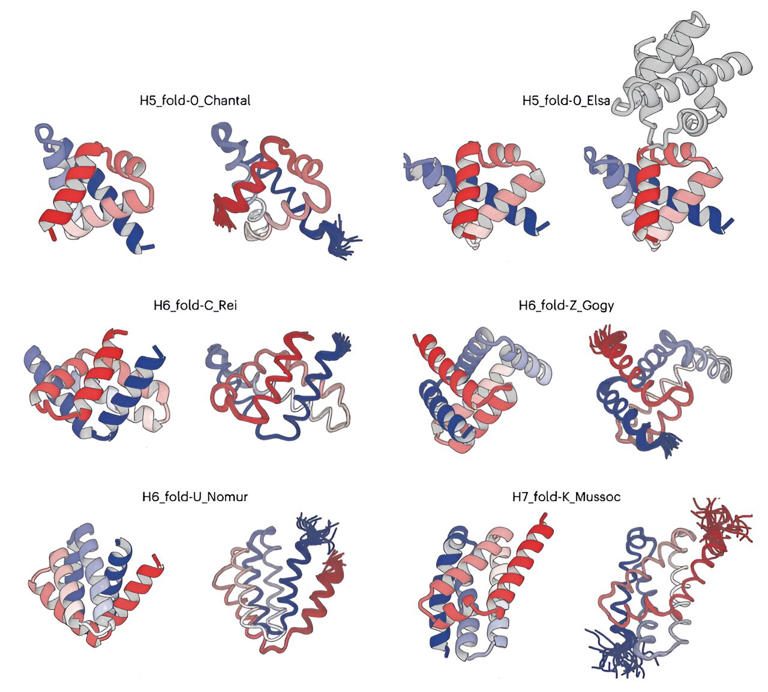 Breakthrough in designing complicated all-α protein structures