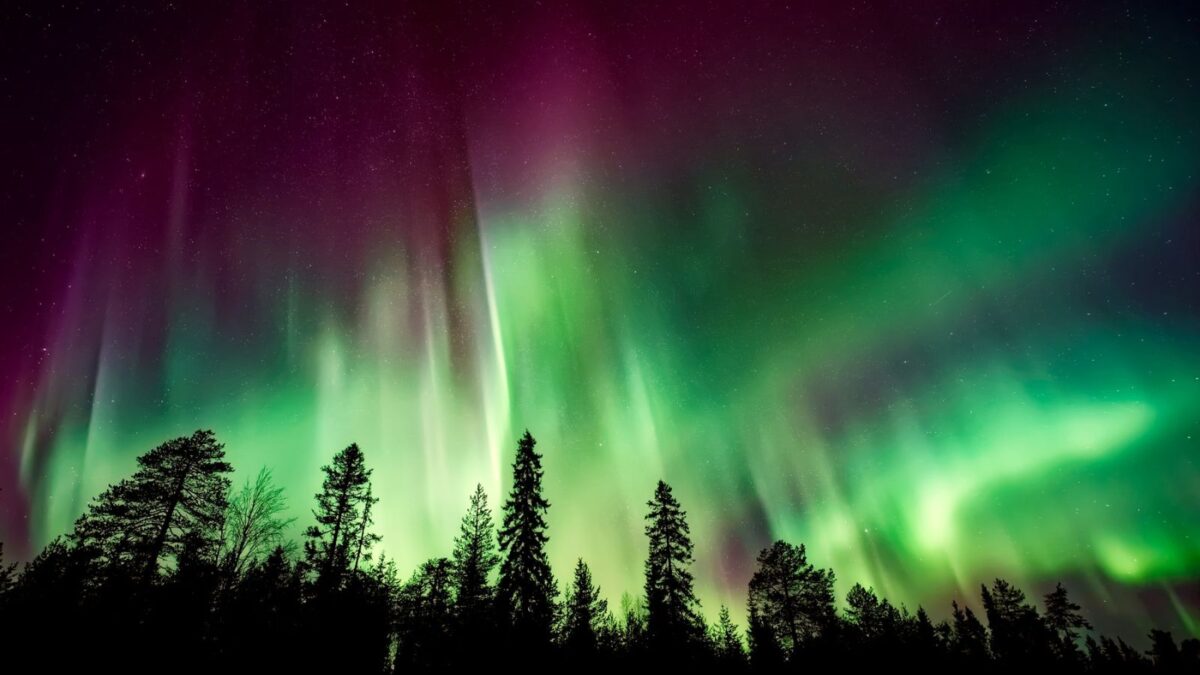 The night sky over Voyageurs National Park is alive with a spectacular display of the Northern Lights, casting ribbons of green and purple that shimmer above the dark, shadowy outlines of the boreal forest.