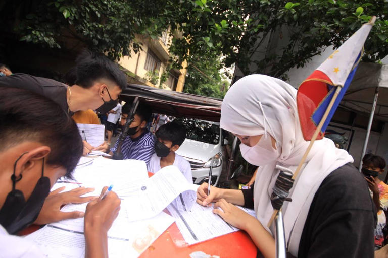 Voter registration may resume in February —Comelec