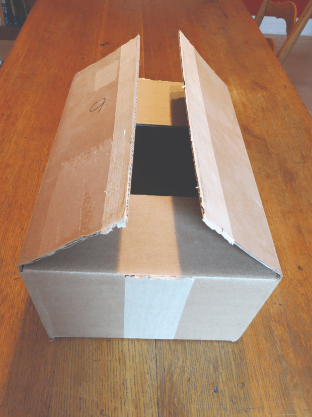 How To Make A Pinhole Camera For The 2024 Eclipse   AA1msNwY.img