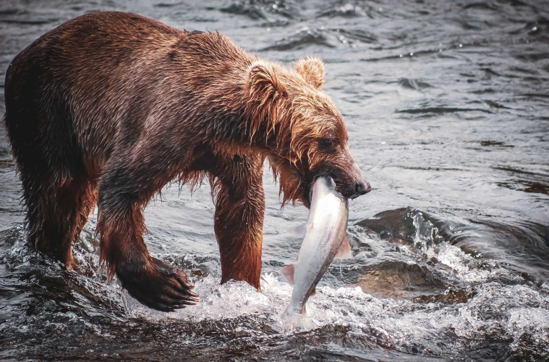 Handbag Trends for Spring 2023