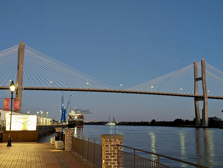 A view of the Savannah River from Savannah's River Street.