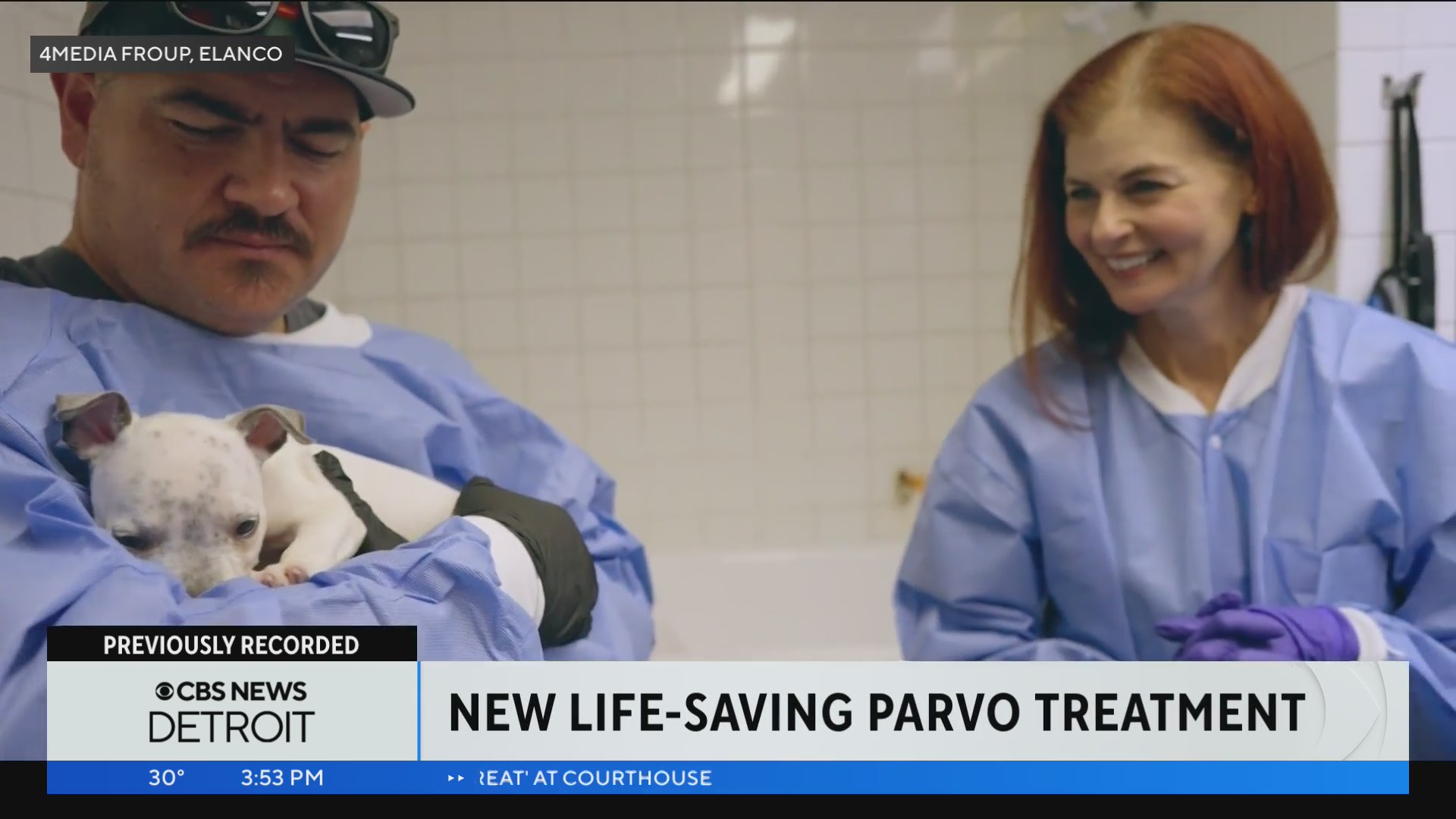 New Life Saving Parvo Treatment   AA1mtOfg.img