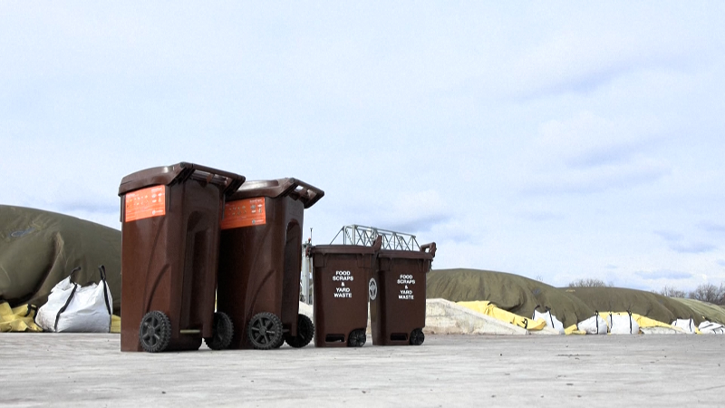 New York City To Start Curbside Composting For All Residents