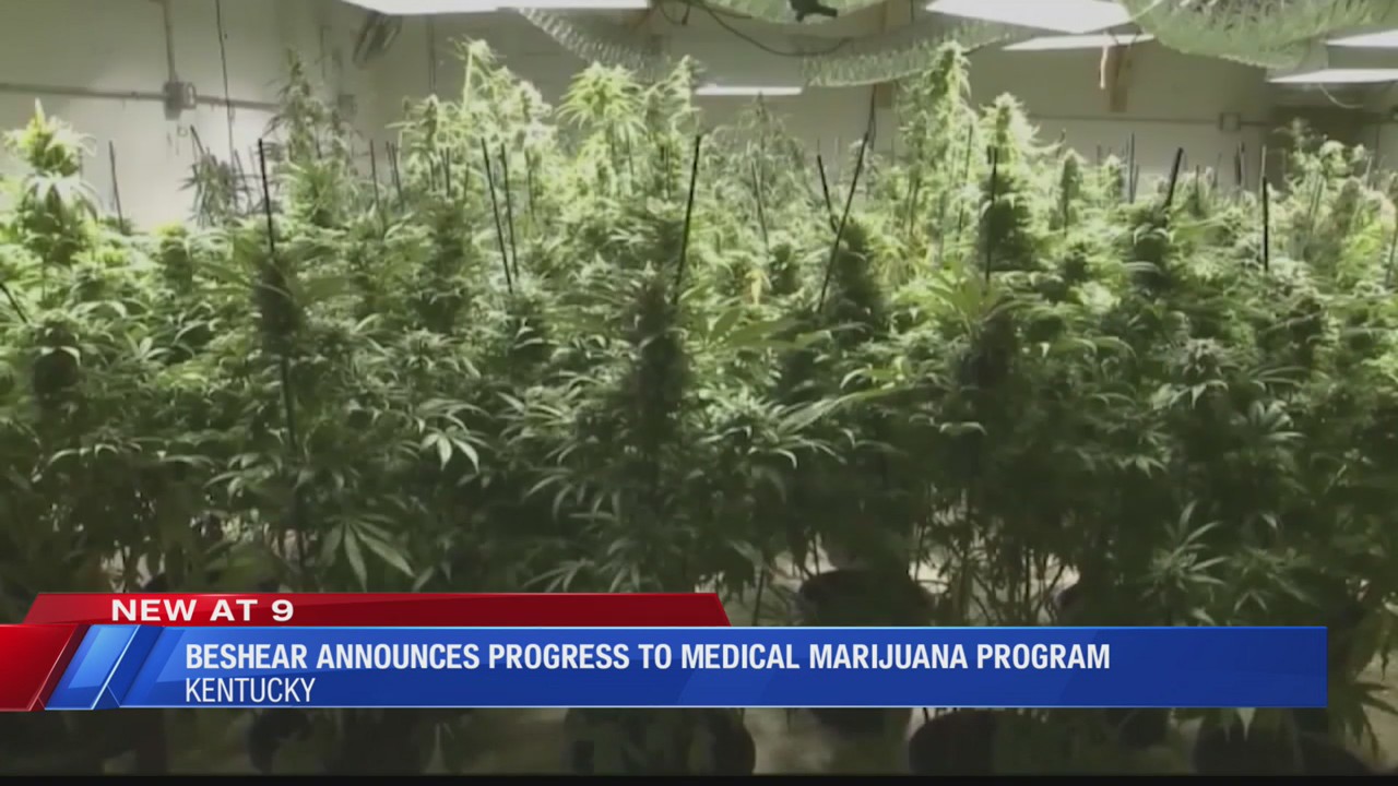 Kentucky Medical Marijuana Progress   AA1mueQG.img