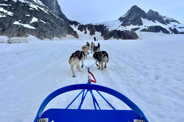 Learn more about the flightseeing helicopter ride to go dog sledding on a glacier shore excursion tour in Juneau, Alaska and if it's worth the price.