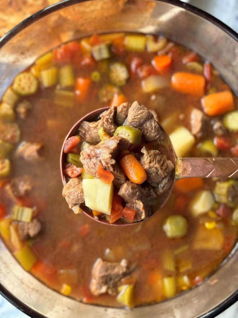 Homemade Vegetable Beef Soup 