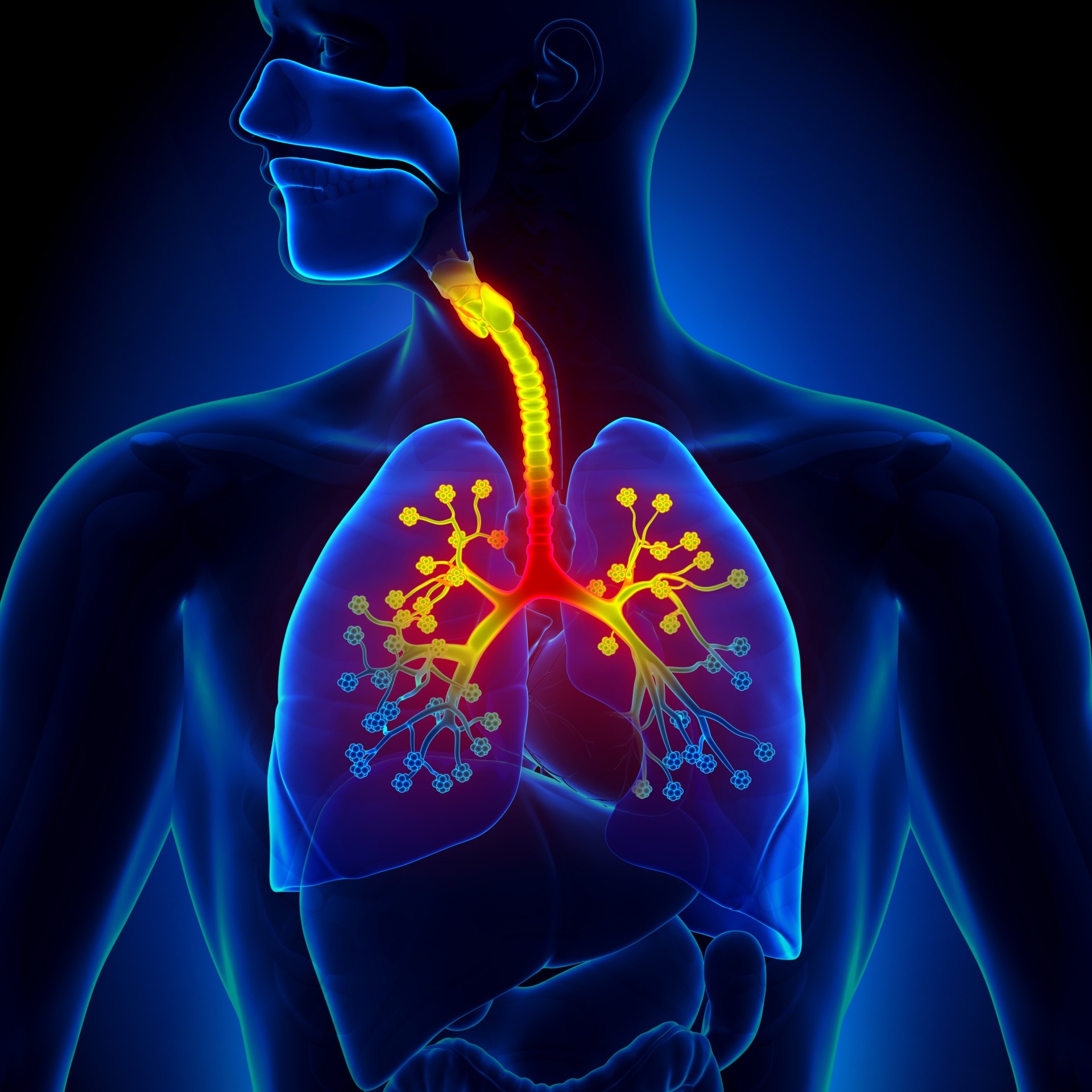 Breathe Easy: Everything You Need To Know About Respiratory Illnesses