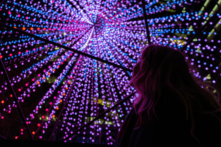 Battersea Power Station Light Festival 2024 When free London outdoor