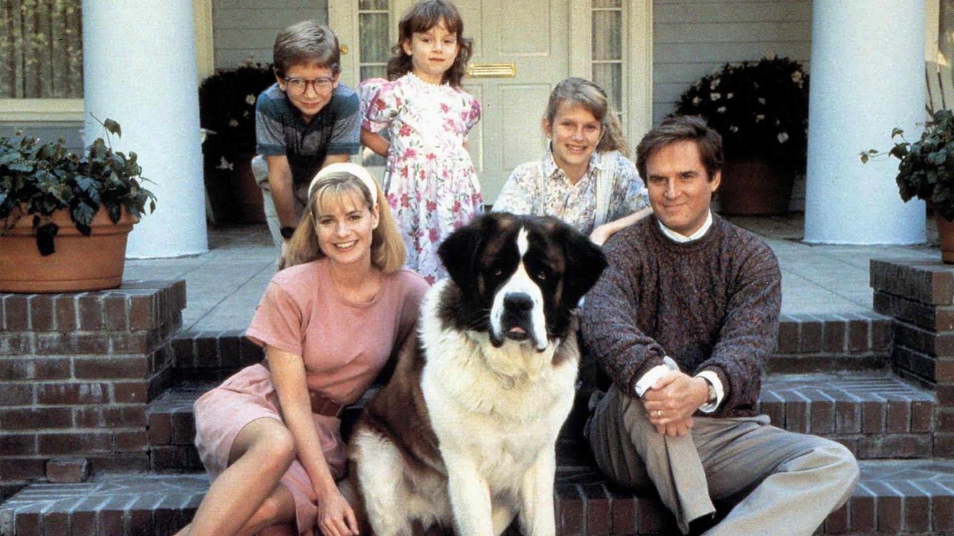 <p>                     A 1992 American family comedy movie featuring a St Bernard dog named after the German composer (the puppy barks along to Beethoven’s music). This is the story of how Beethoven walks into a family home and quickly becomes the centre of attention to the extent that the dad resents him, but must contend with a dog-napping vet and his henchmen before the jealous dad saves the day.                    </p>                                      <p>                     There were 12 doubles playing the main St Bernard – a fun, fluffy movie if you don’t mind a bit of big-dog slobber. Fun fact: St Bernards are one of the largest dog breeds in the world.                   </p>                                      <p>                     <br>                   </p>