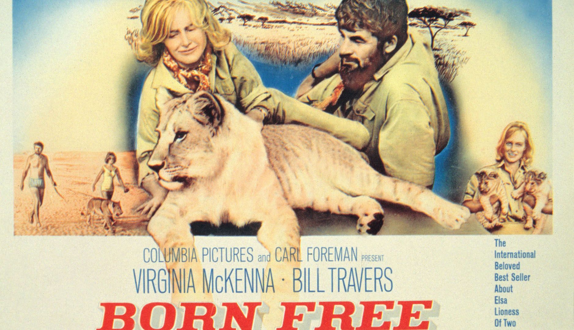 <p>                     A 1966 British drama about a couple who raise an orphaned lion-cub and eventually release her into the wilds of of Africa. Beautiful, touching and heart-warming, this is a stunning and sensitive animal film, with Elsa the lion cub stealing the show.                    </p>