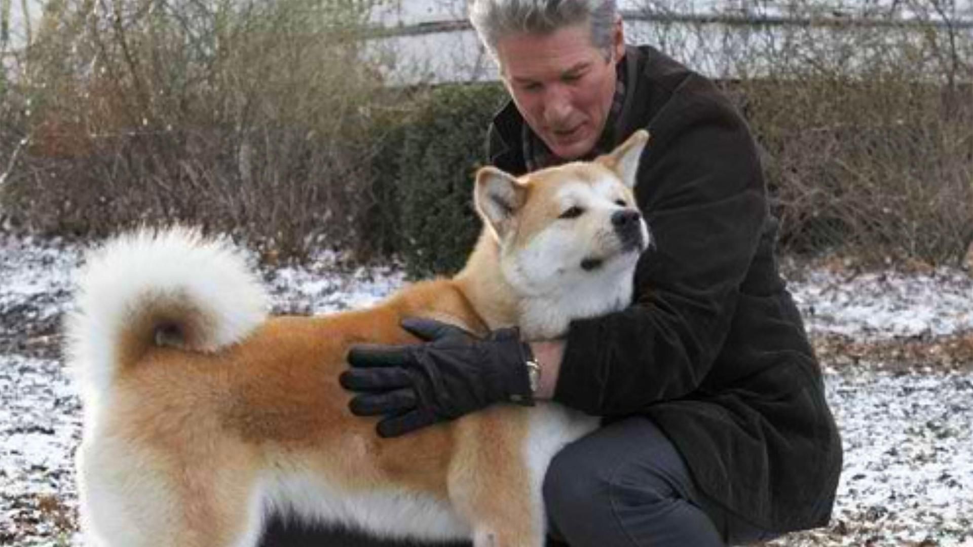 <p>                     A college professor (Richard Gere) bonds with an abandoned Akita dog and takes it into his home. Fairly slow-moving, but a touching treat for dog lovers with its observations on grief, loyalty and the relationship between pets and their humans. Based on a true story in Japan; a tear-jerker.                   </p>