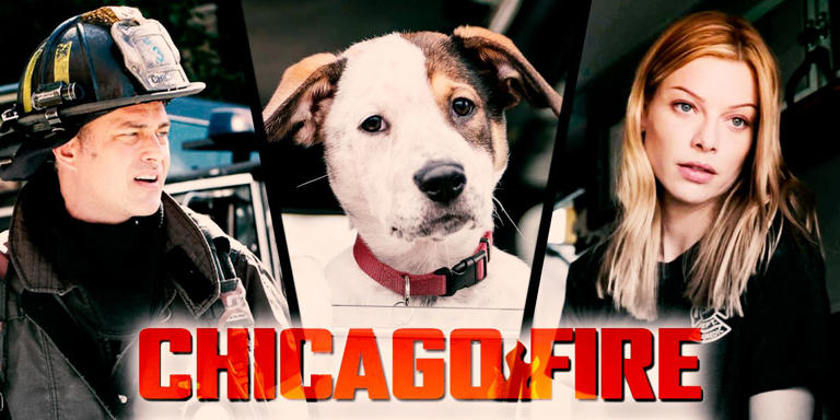 Chicago Fire Cast and Character Guide