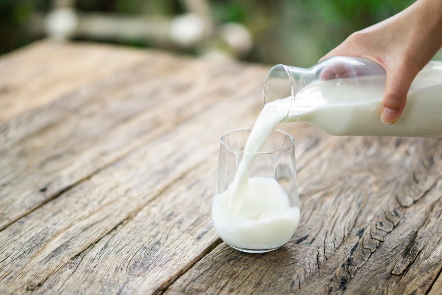 Judge Makes Ruling In Lancaster County Farmer’s Raw Milk Case